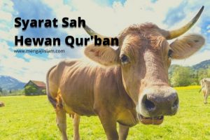 Syarat sah hewan qurban
