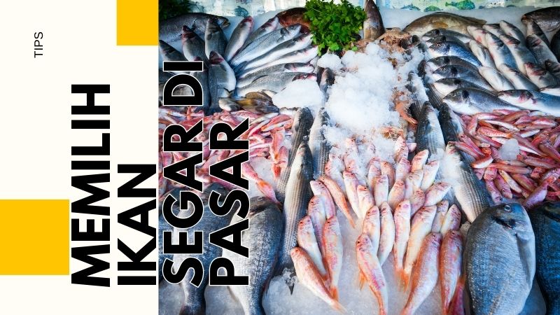 Tips Memilih Ikan Segar di Pasar